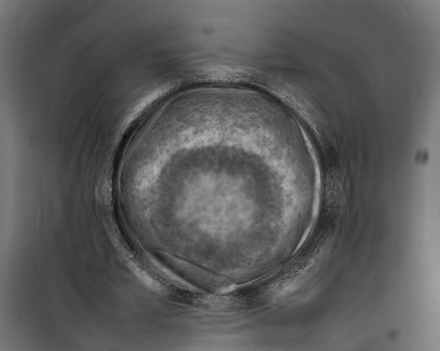 X0000099980581200806201428