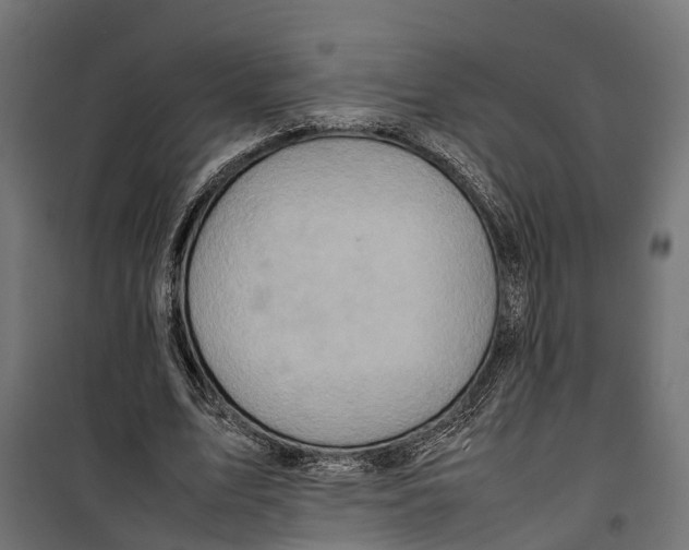 X0000099980583200806201428