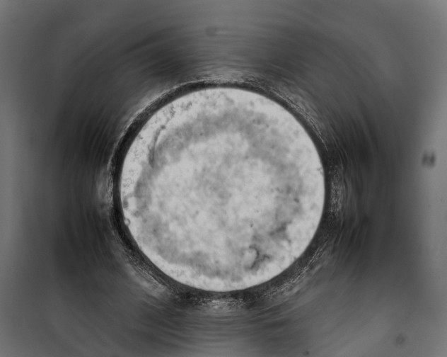 X0000099980584200806201428