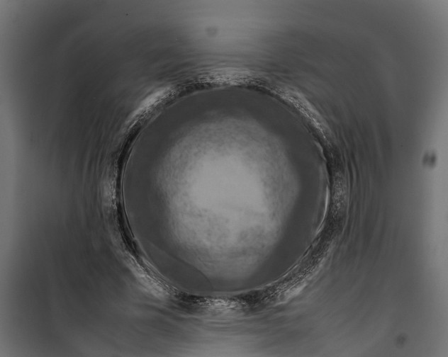 X0000099980585200806201428