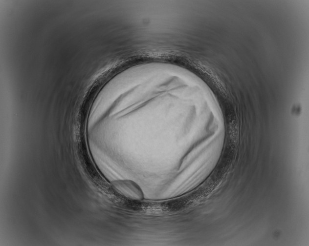 X0000099980587200806201428