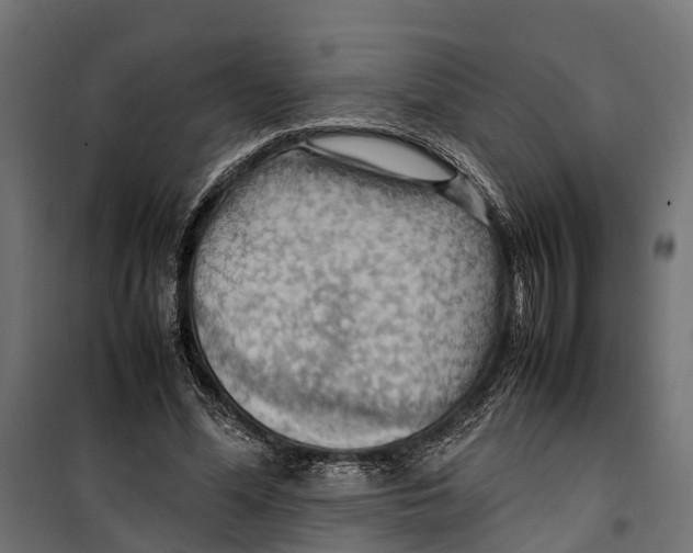 X0000099980588200806201428