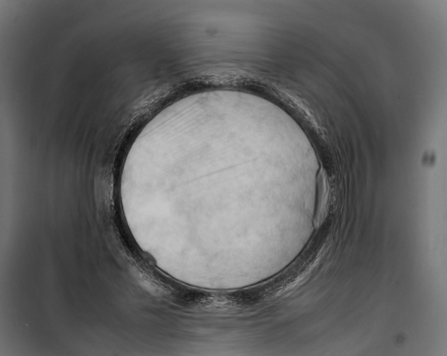 X0000099980589200806201428