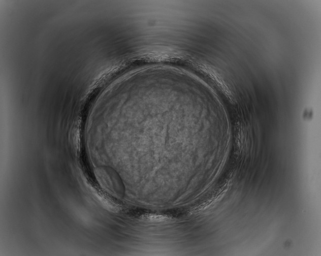 X0000099980590200806201428