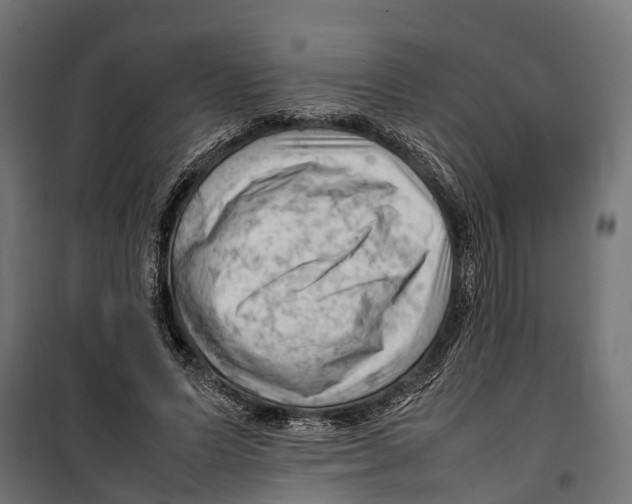 X0000099980591200806201428