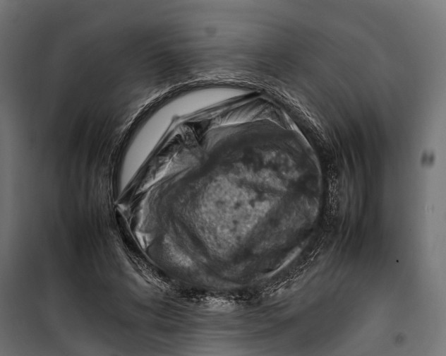 X0000099980592200806201428