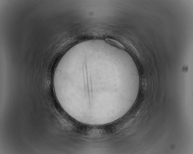 X0000099980593200806201428