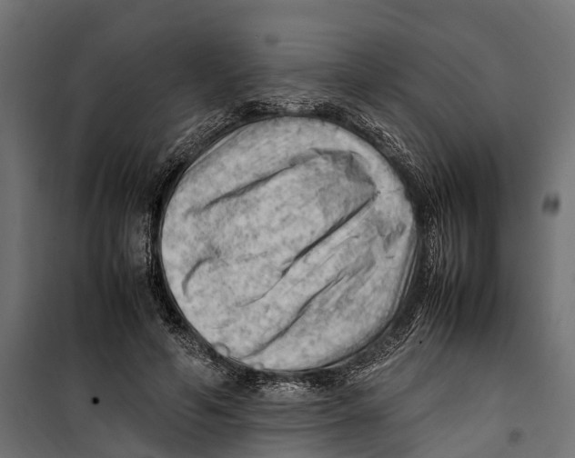 X0000099980594200806201428