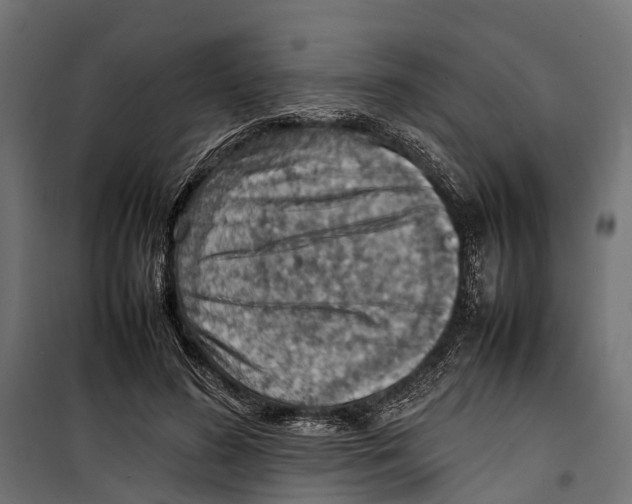 X0000099980596200806201428