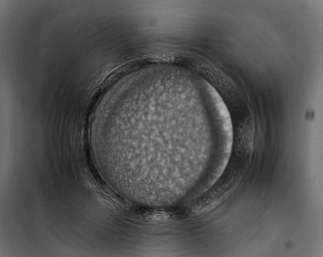 X0000099980600200806201427