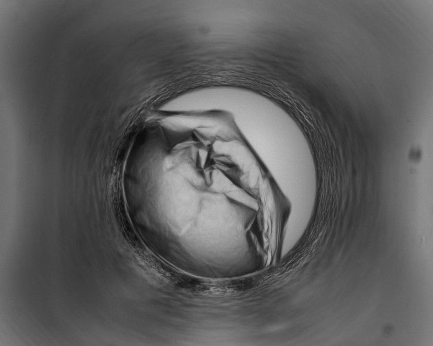 X0000099980601200806201427