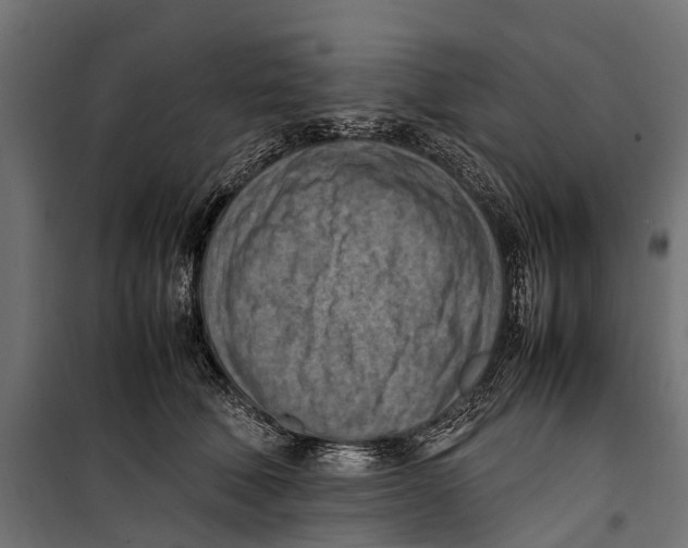 X0000099980610200806201427