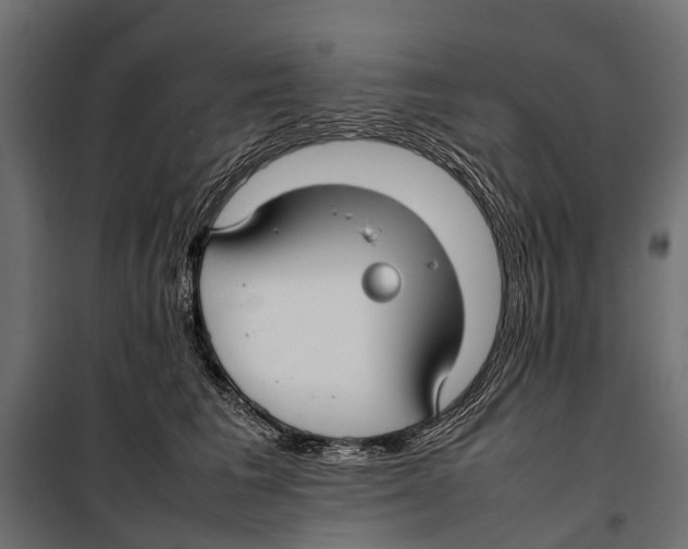 X0000099980613200806201427