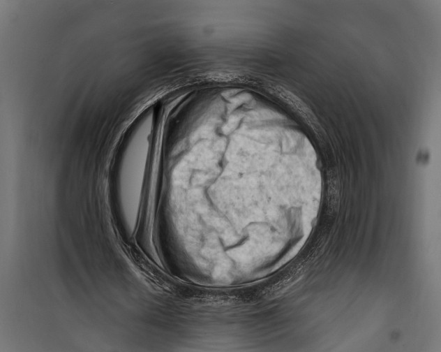 X0000099980626200806201426