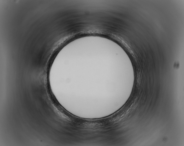 X0000099980629200806201426