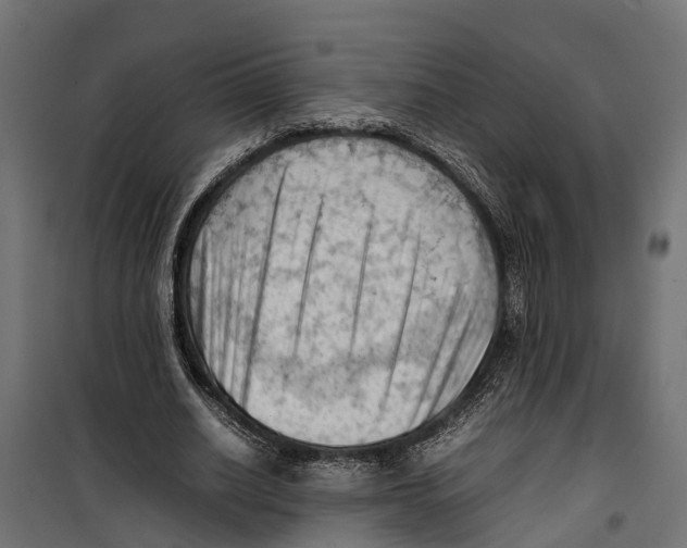 X0000099980630200806201426