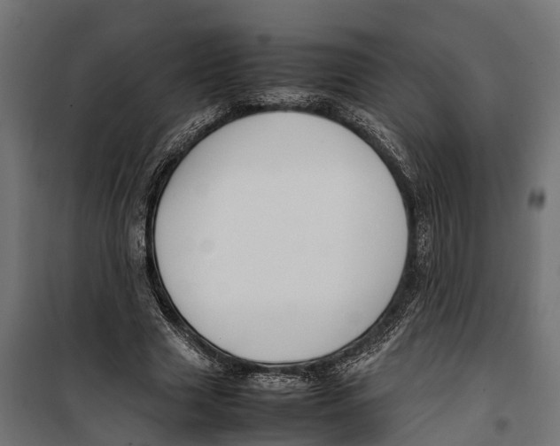 X0000099980633200806201427