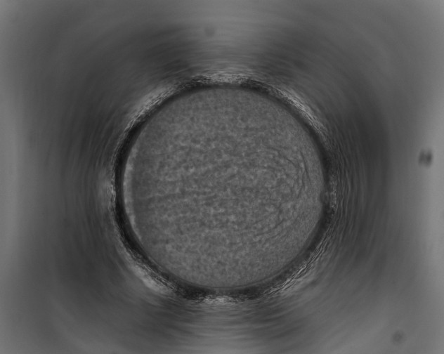 X0000099980634200806201427