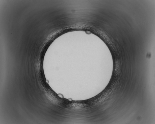 X0000099980636200806201427