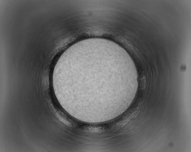 X0000099980638200806201427