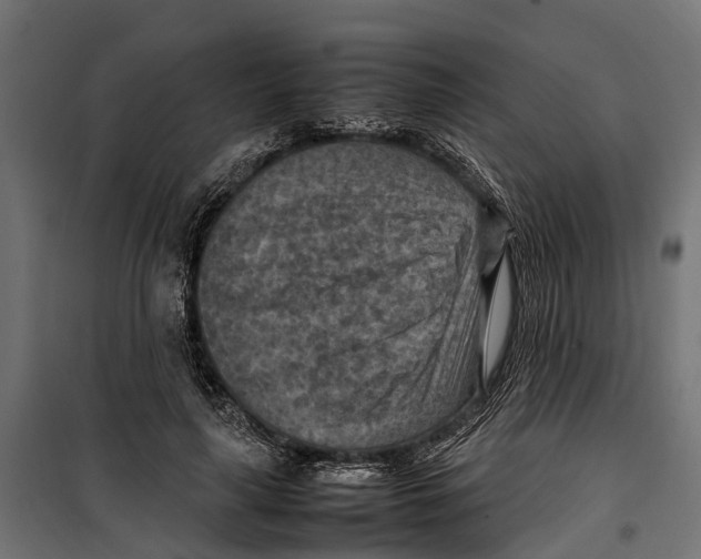 X0000099980643200806201427