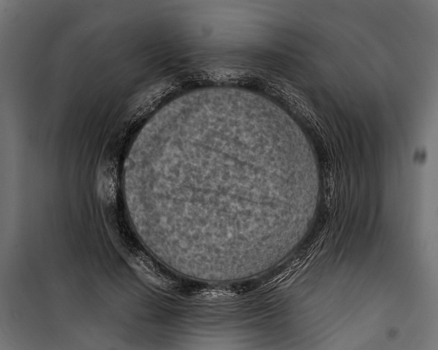 X0000099980644200806201427