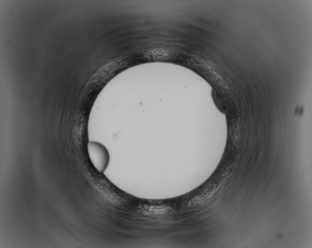 X0000099980645200806201427