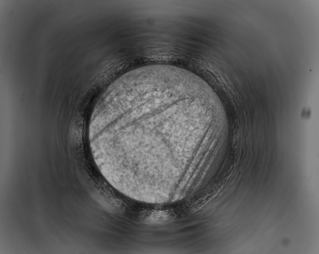 X0000099980647200806201427