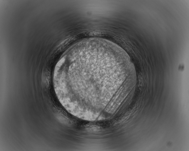 X0000099980648200806201427