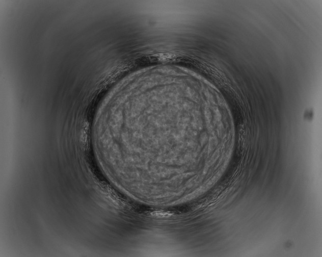 X0000099980650200806201427