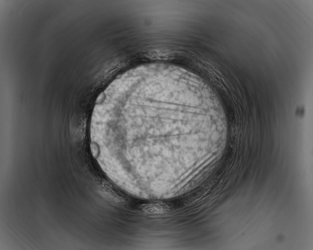 X0000099980652200806201427