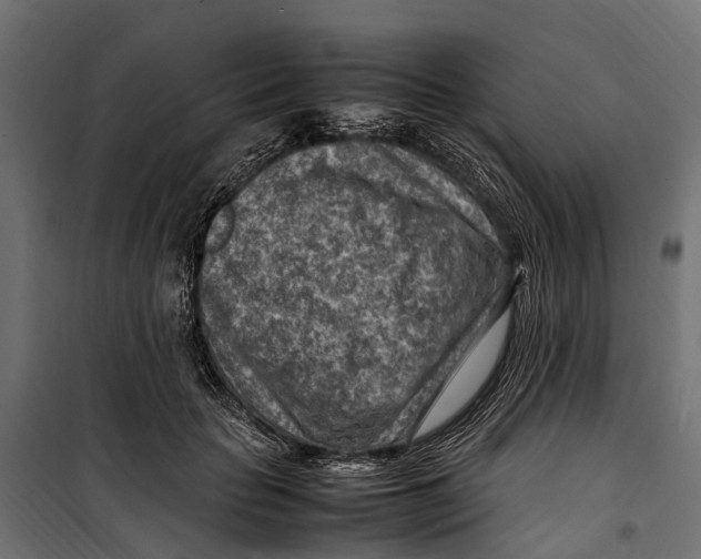 X0000099980653200806201427