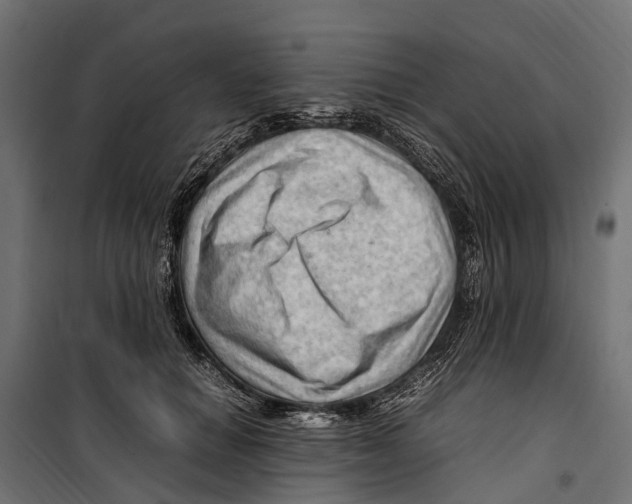 X0000099980654200806201427