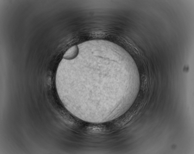 X0000099980655200806201427