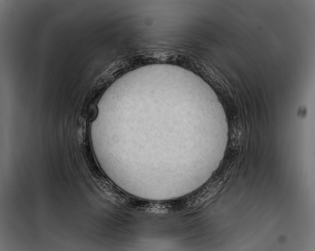 X0000099980656200806201427