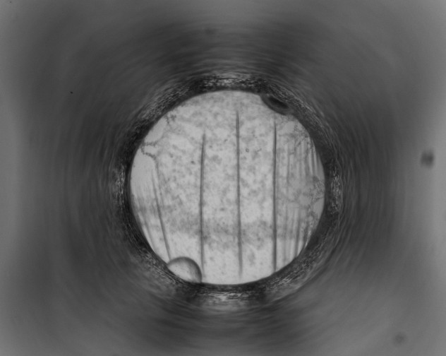 X0000099980657200806201427