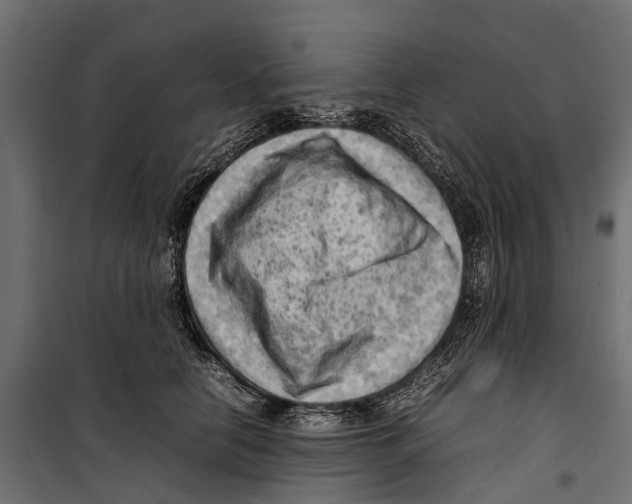 X0000099980658200806201427