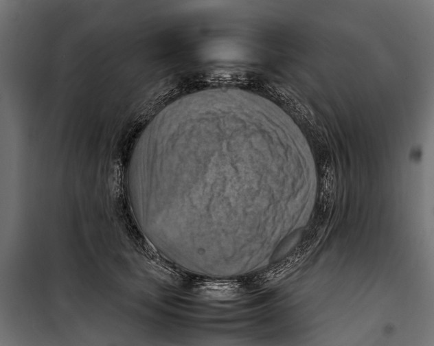 X0000099980659200806201427