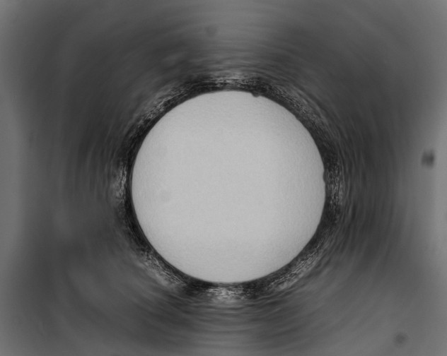 X0000099980660200806201427