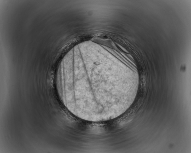 X0000099980664200806201427