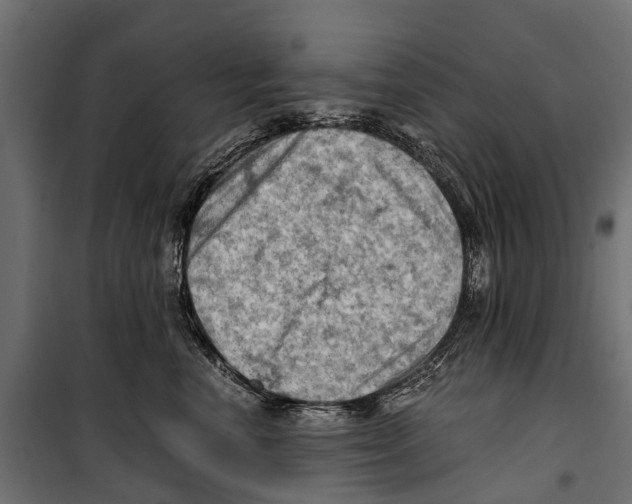 X0000099980666200806201427