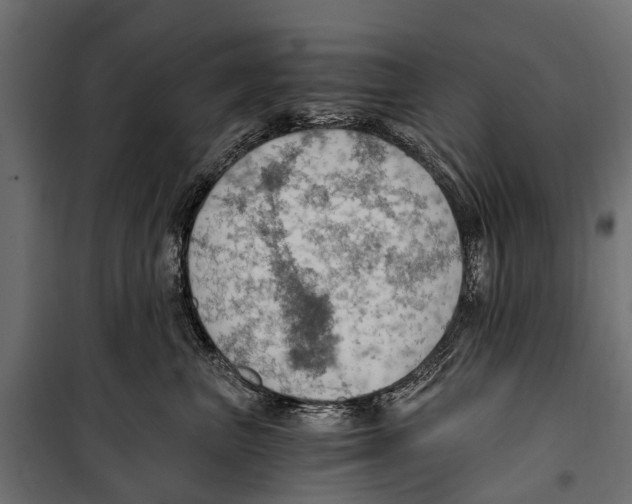 X0000099980667200806201427