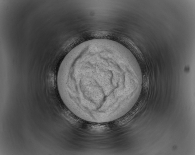 X0000099980669200806201427