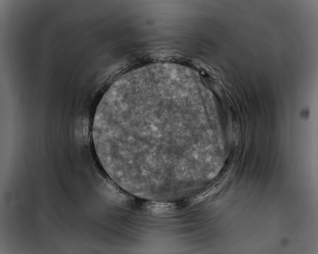 X0000099980670200806201427