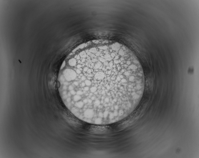 X0000099980671200806201427