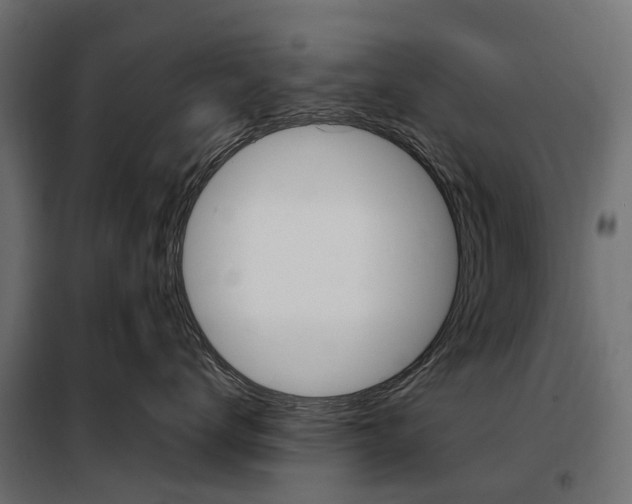 X0000099980672200806201427