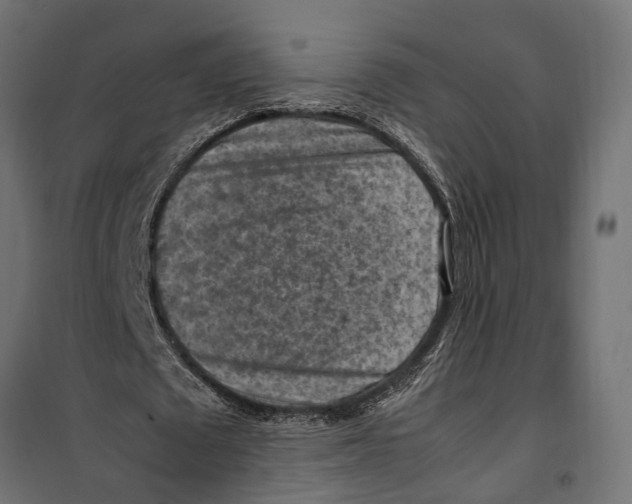 X0000099980673200806201426