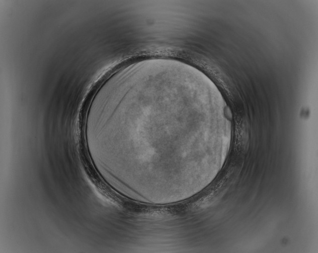 X0000099980674200806201426