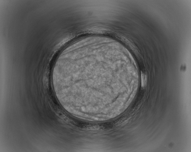 X0000099980675200806201426