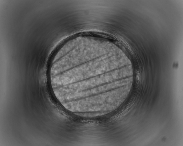 X0000099980676200806201426